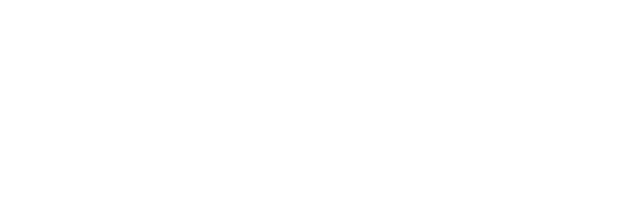 XAV logo